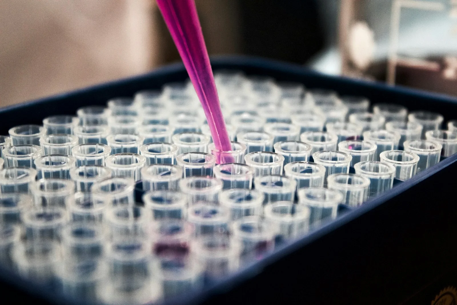 Pipette and sample plate in a laboratory